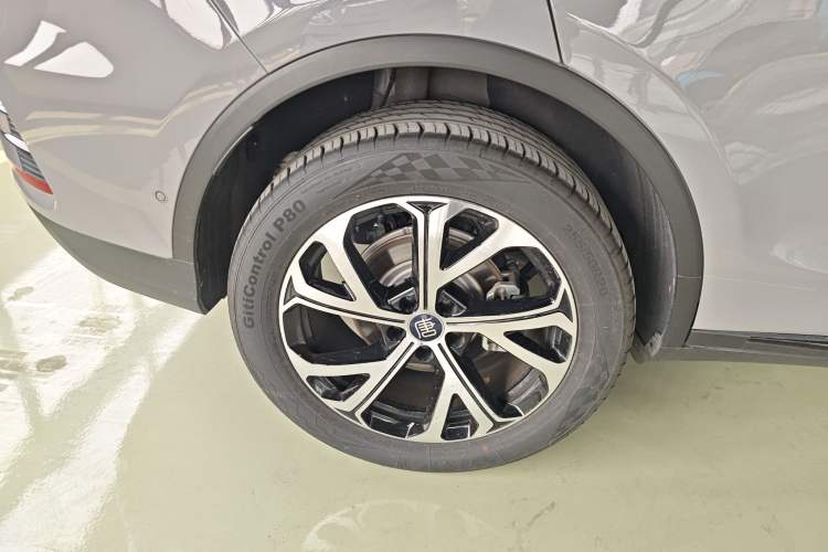 Used BYD Tang New Energy 2025 Intelligent Driving Version DM-i 115KM Flagship Edition