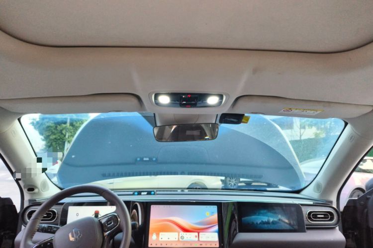 Used Leapmotor C11 2023 Pure Electric 500 Smart Edition
