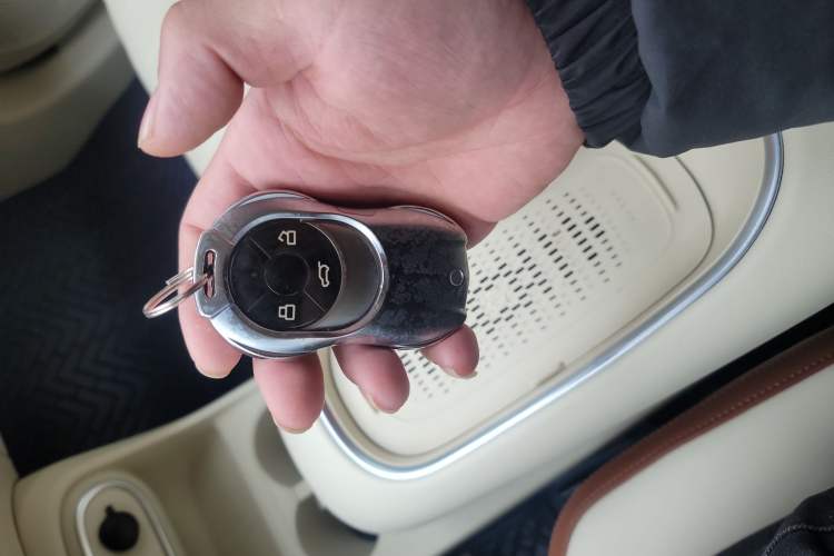 Used ORA Good Cat 2024 401 km Luxury Version 126 kW