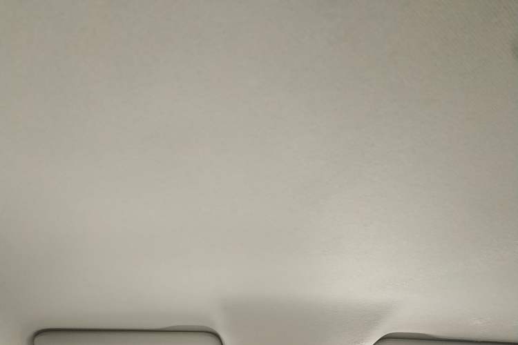 Used Leapmotor T03 2023 310 Lite Edition Headliner