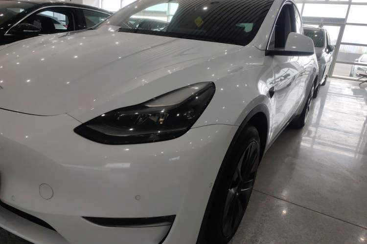 Used Tesla Model Y 2021 Standard Range Rear-Wheel Drive Version