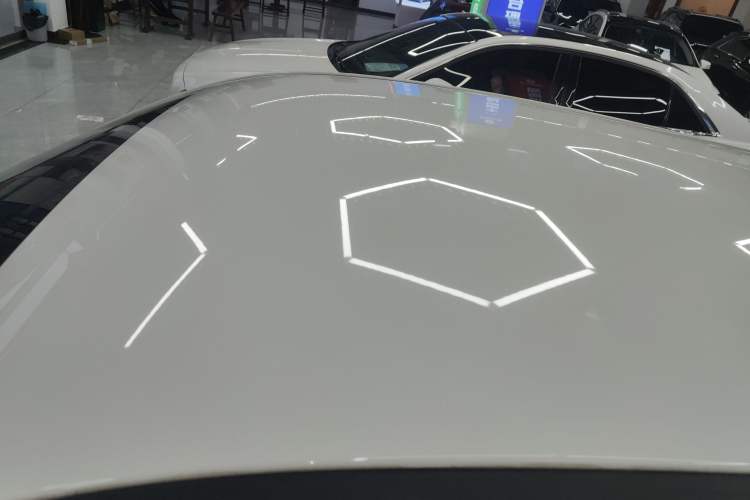 Used ORA Black Cat 2021 351 km Standard Version
