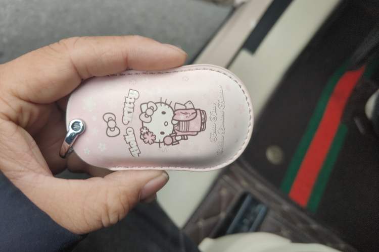 Used ORA Good Cat 2023 401 km Standard Range Premium Trim Ternary Lithium Vehicle Key