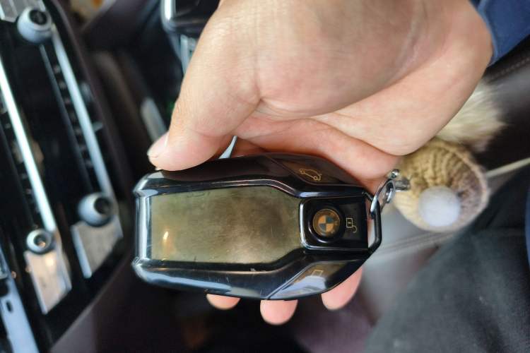 Used BMW 5 Series New Energy 2020 Mileage Upgrade Version 530Le Luxury Package
