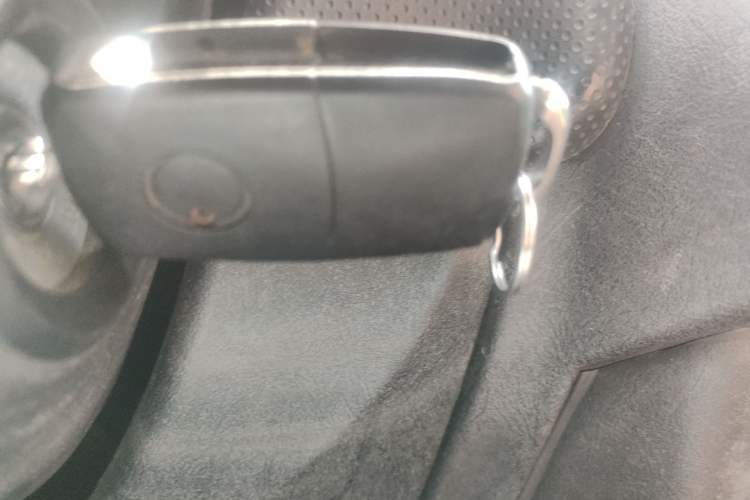 Used Leopaard Feiting 2009 2.0L 4x4 Standard Edition
