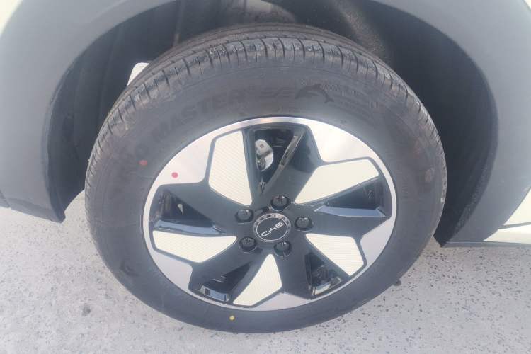 Used BYD Dolphin 2025 420km Free Edition