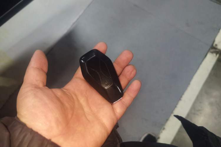 Used ARCFOX Alpha S 2023 735E+ Forest Edition 160kW