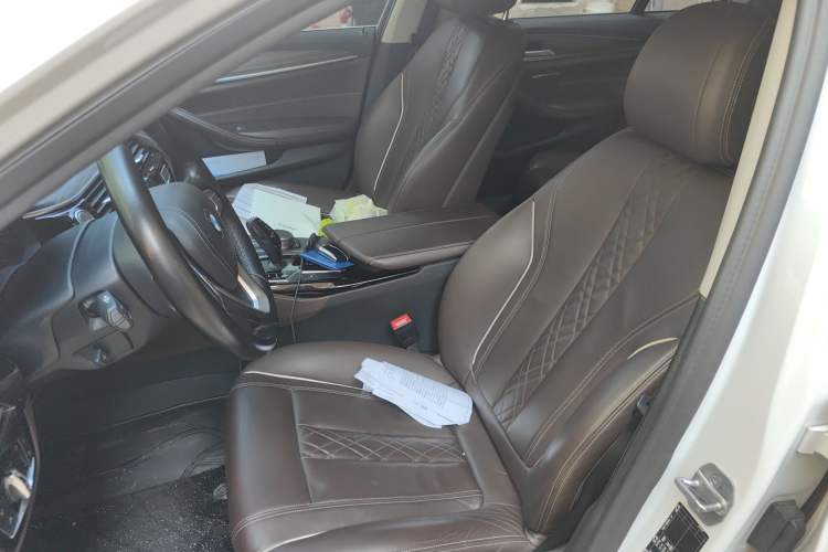 Used BMW 5 Series New Energy 2019 530Le Luxury Package
