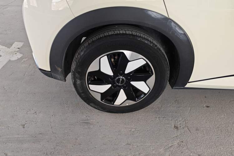 Used BYD Dolphin 2024 Honor Edition 420km Freedom Version Right Rear Wheel Hub