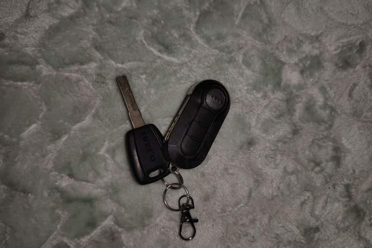 Used Iveco Eurocargo 2021 2.0T Manual Super-Rui Short Wheelbase Low-Roof Side-Hinged Door F1A
