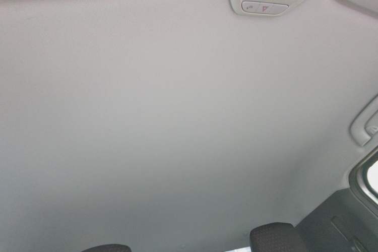 Used Baojun E200 2019 250KM Smart Enjoyment Version Headliner