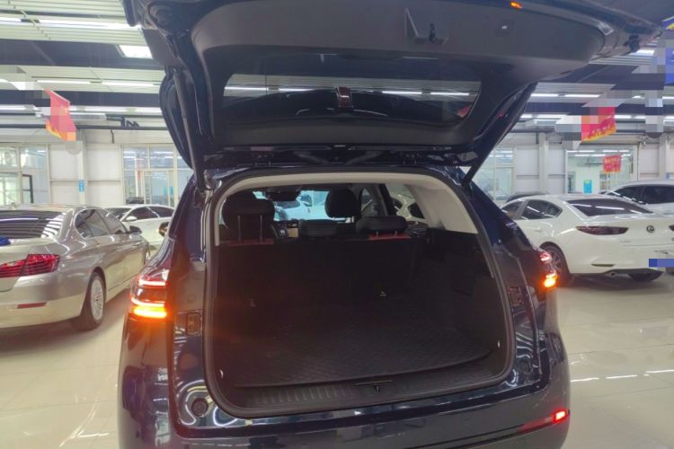 Used Wey Latte DHT-PHEV 2022 1.5T Four-Wheel Drive Extra-Large Version