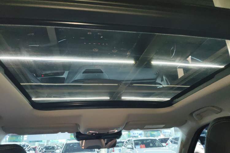 Used Haval DARGO 2024 2.0T DCT Chinese Rural Dog Edition
