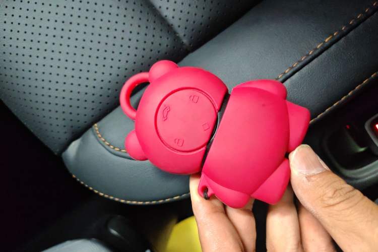 Used Leapmotor T03 2020 400 Luxury Edition