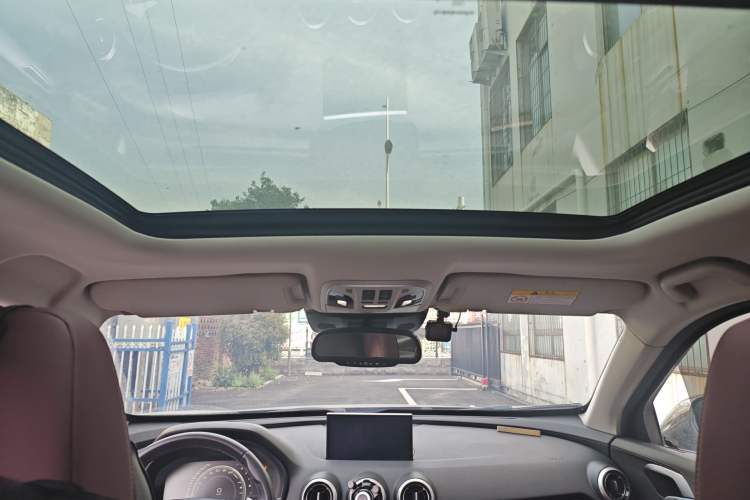 Used Wey P8 2018 2.0T Flagship Model Headliner