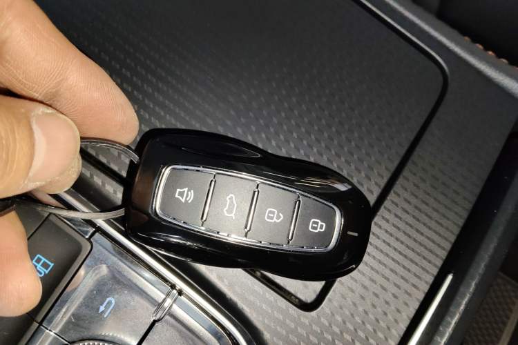 Used Ford Equator New Energy 2025 Luxury Plus Version