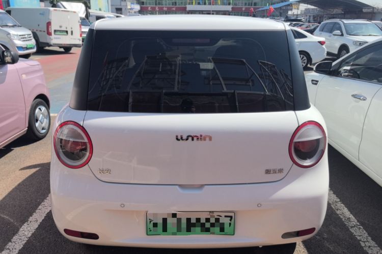 Used CHANGAN NEVO Lumin 2023 205km Xiangqin Version Rear