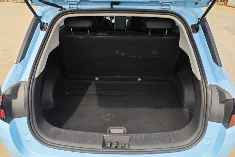 Used NETA AYA 2023 401 Lite Trunk