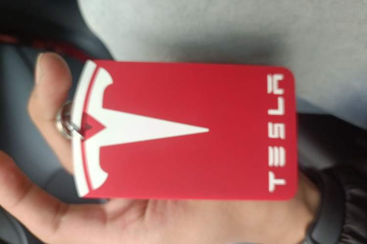 Used Tesla Model 3 2021 Standard Range Rear-Wheel Drive Upgraded Version 3D6
