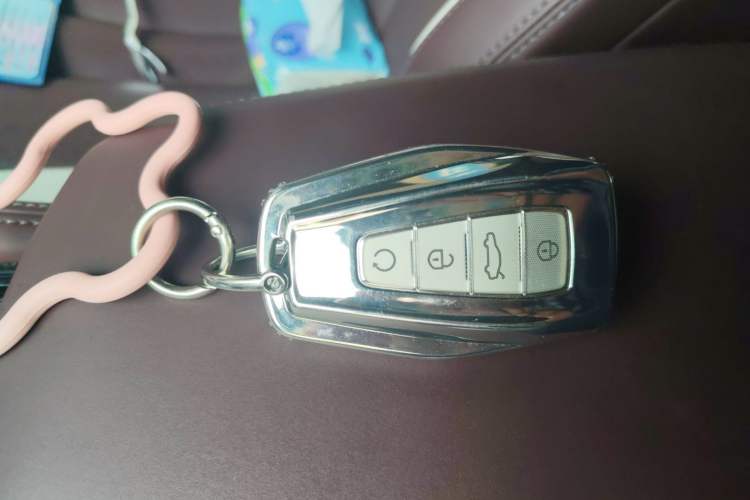 Used Geely Auto Monjaro L 2021 2.0TD DCT EVO Two-Wheel Drive Prestige Version