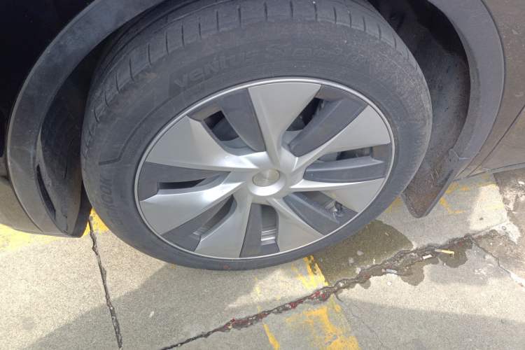 Used Tesla Model Y 2022 Rear-Wheel-Drive Version