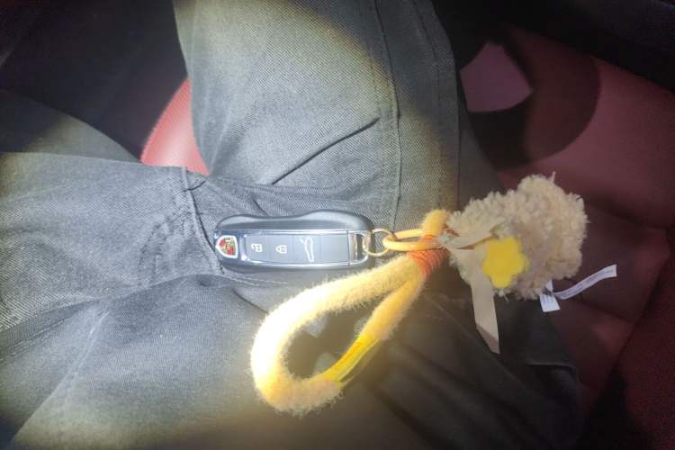 Used Porsche Panamera 2023 Facelifted Panamera 2.9T Platinum Edition