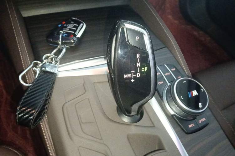 Used BMW 5 Series 2021 530Li Leading Luxury Package