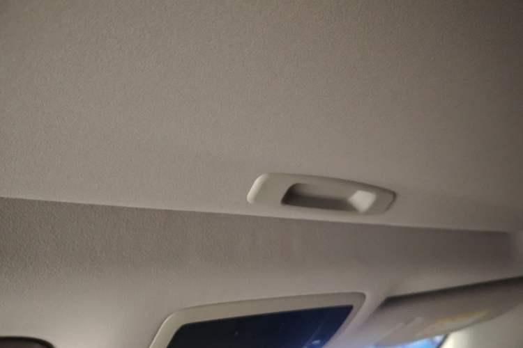 Used Lexus RX 2020 Revised Version 300 Two-Wheel Drive Elite Edition Headliner