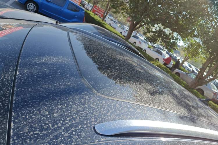 Used Audi Q4 e-tron 2022 50 e-tron quattro Visionary Edition
