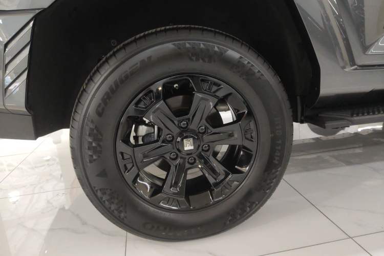 Used Tank 400 2025 2.0T Gasoline Version
