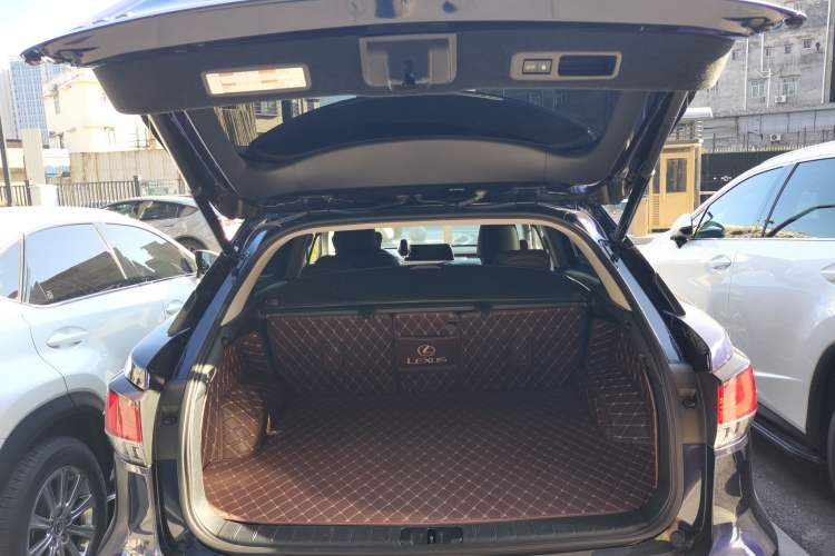 Used Lexus RX 2020 Facelifted 300 4x4 Elegant Edition
