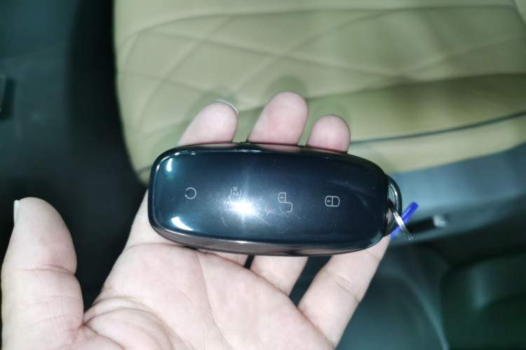 Used Denza D9 2023 DM-i 965 Luxury Model