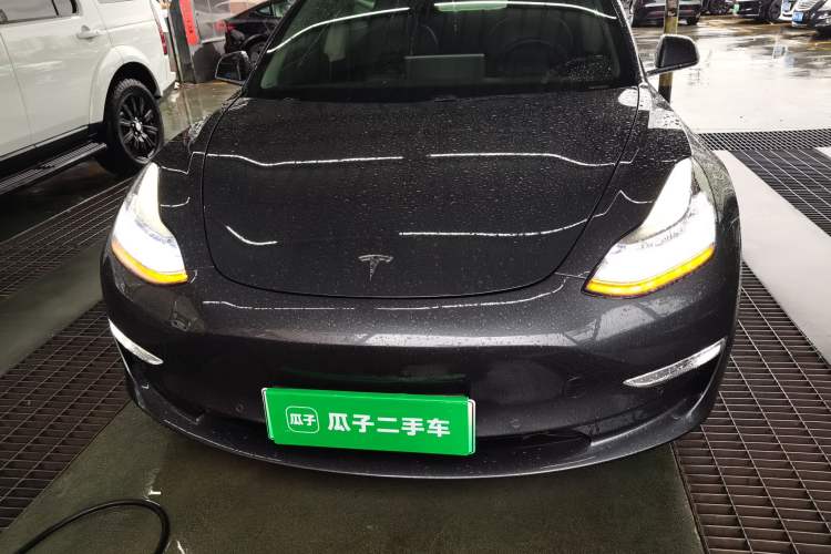 Used Tesla Model 3 (Import) 2019 Long-Range Rear-Wheel-Drive Version
