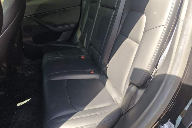 Used Tesla Model Y 2022 Rear-Wheel-Drive Version Left Rear Seat