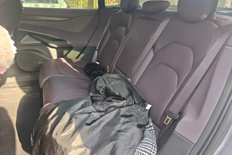 Used Xiaomi Auto SU7 2024 Four-Wheel Drive Ultra-Long Range Advanced Intelligent Driving Max Edition Left Rear Seat