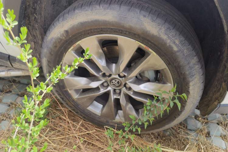 Used Toyota Wildlander 2022 2.0L CVT 4x4 Luxury PLUS Edition