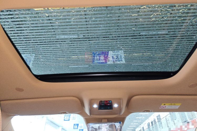 Used Denza D9 2025 DM-i Intelligent Drive 1020 Four-Wheel Drive Prestige Model Headliner