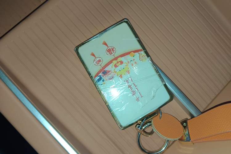 Used ONVO L60 2024 60 kWh Rear-Drive Version
