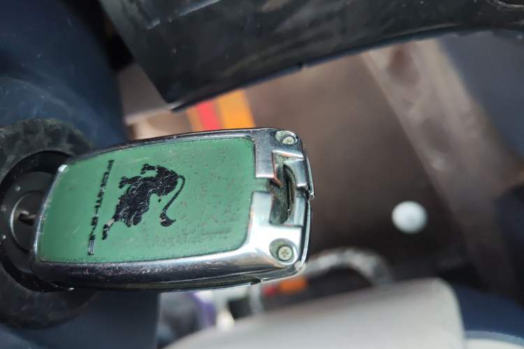 Used FORTHING Lingzhi PLUS 2024 2.0L Manual Luxury CNG 7-Seater