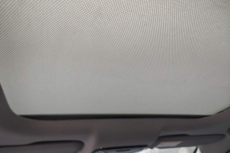 Used WM Motor EX5 2019 EX5 Mate Weymeng Edition 400 Headliner