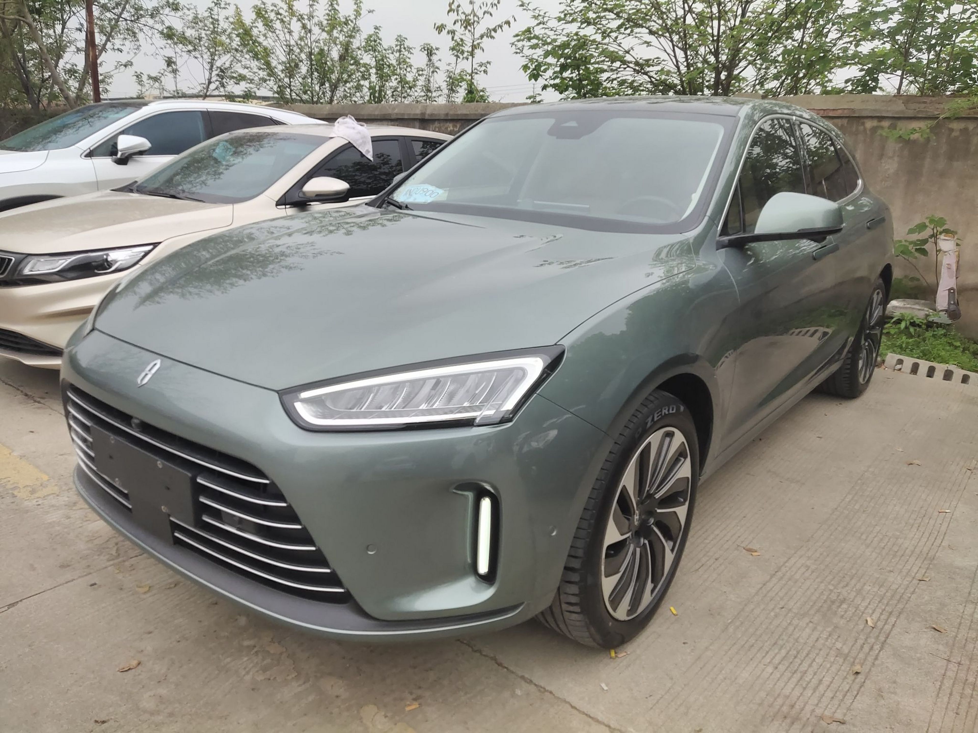 Parte inferior delantera