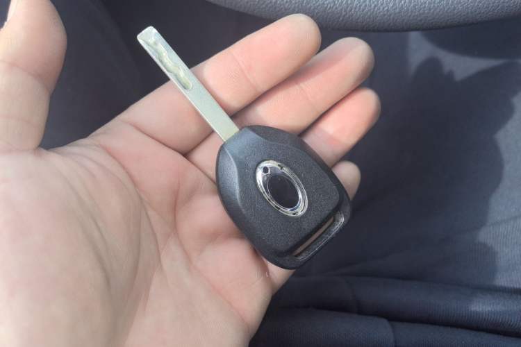 Used ORA Black Cat 2019 351 km Fun Edition