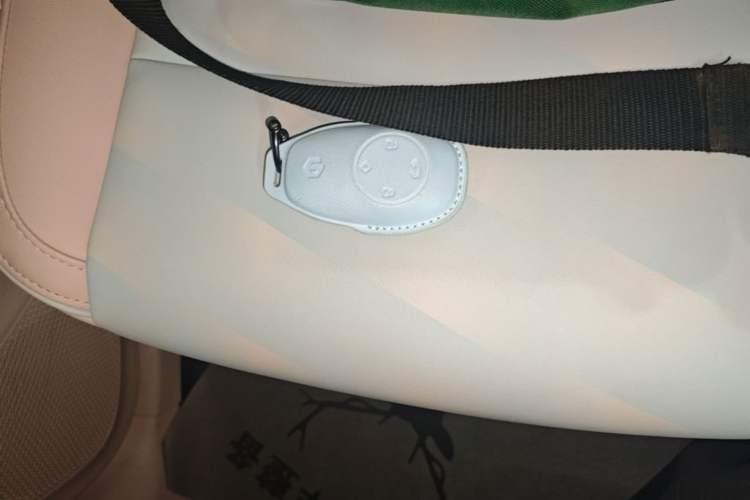 Used Leapmotor T03 2024 310 Comfort Edition Vehicle Key