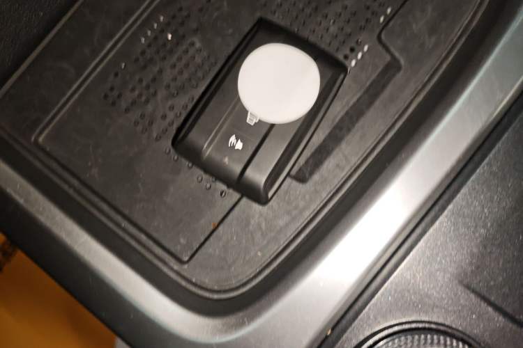 Used Tank 300 2024 2.0T Crosser
