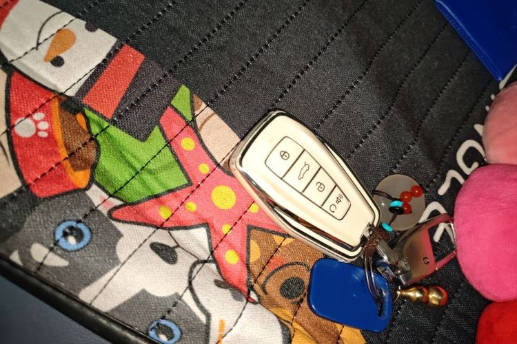 Used Geometry E Firefly 2022 401 km Linglong Tiger 5 Seats