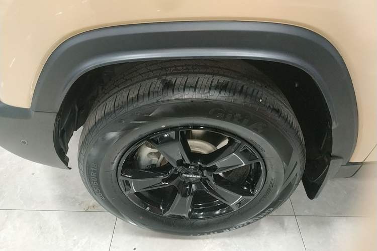 Used Haval Raptor New Energy 2024 Hi4 145 Cross-Over Edition Left Front Wheel Hub