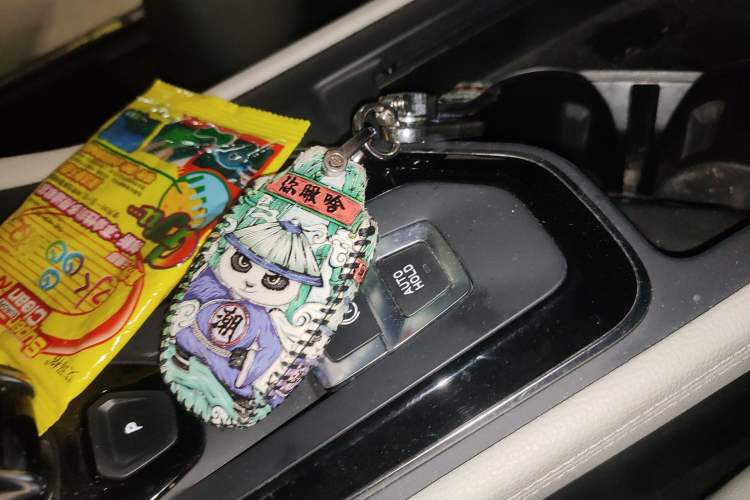 Used Lynk & Co 02 2019 1.5T DCT Two-Wheel Drive Zhaoban Version China VI Standard
