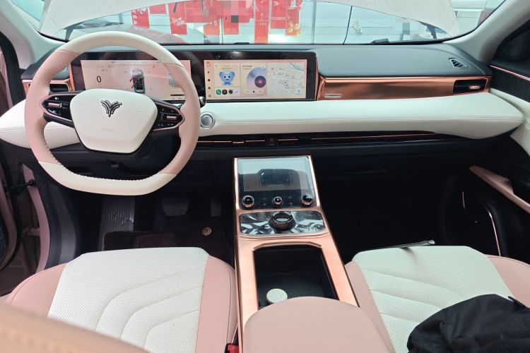 Used NETA U 2022 NETA U-Ⅱ 610 Ternary Lithium