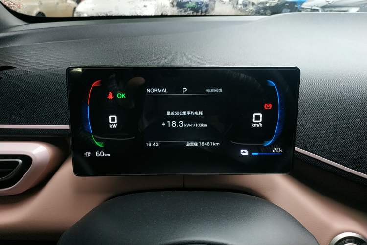 Used BYD Seagull 2025 305 km Free Version