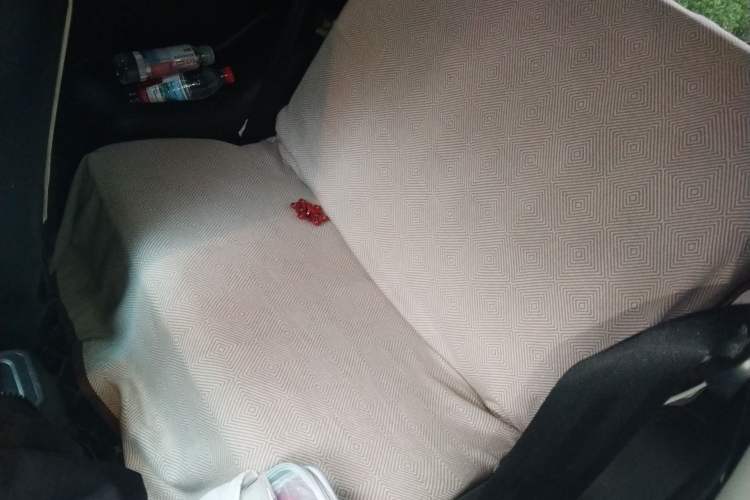 Used Chery QQ Little Ant 2021 150 000 Yuan Ant Fan Edition Ant Trend Version Lithium Iron Phosphate Left Rear Seat